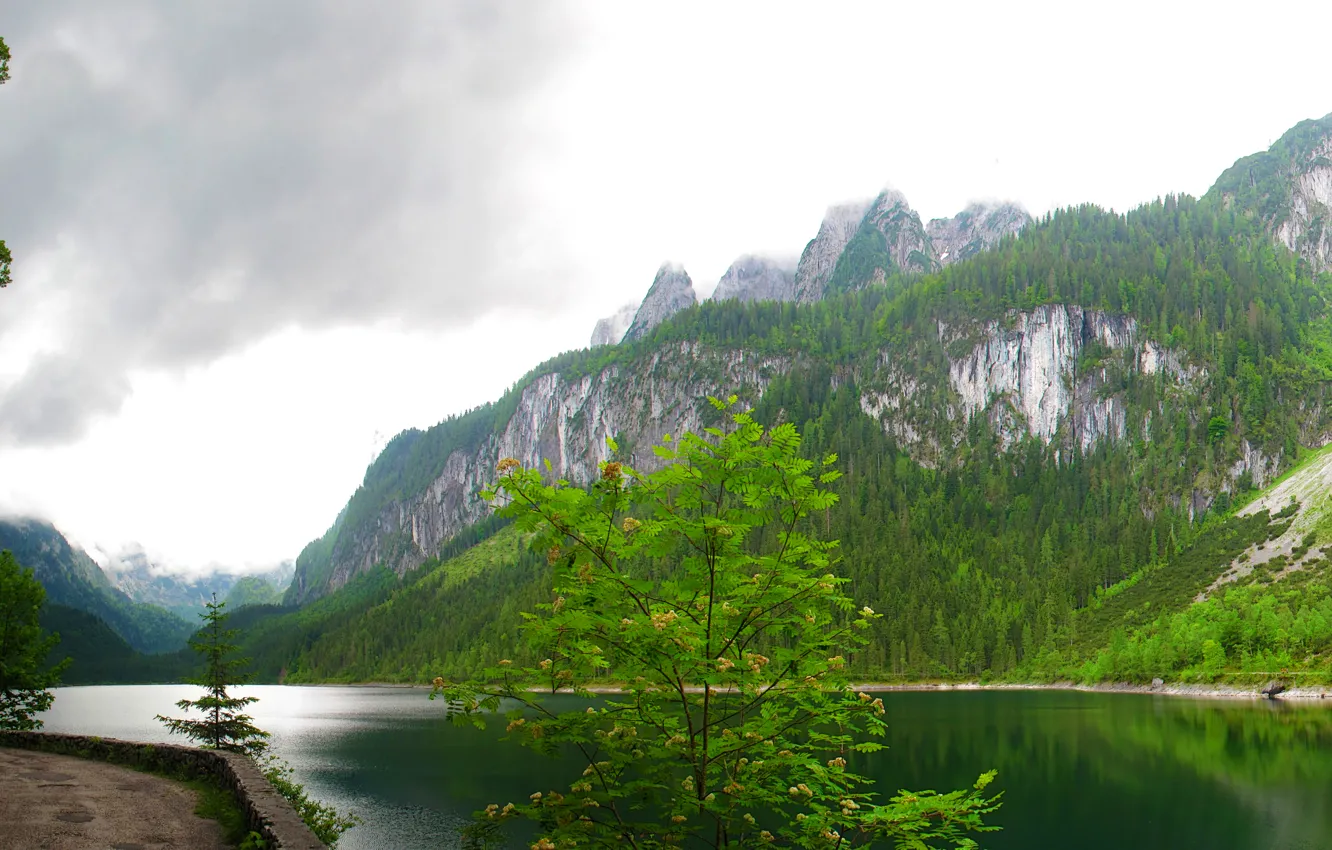 Photo wallpaper forest, clouds, trees, mountains, lake, rocks, Austria, Gosausee