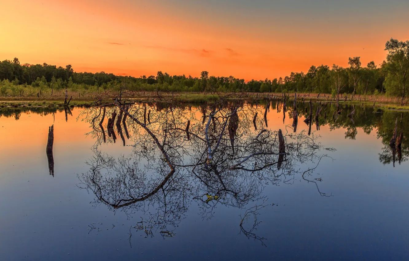 Photo wallpaper lake, reflection, tree, mirror, sunrise, orange sky