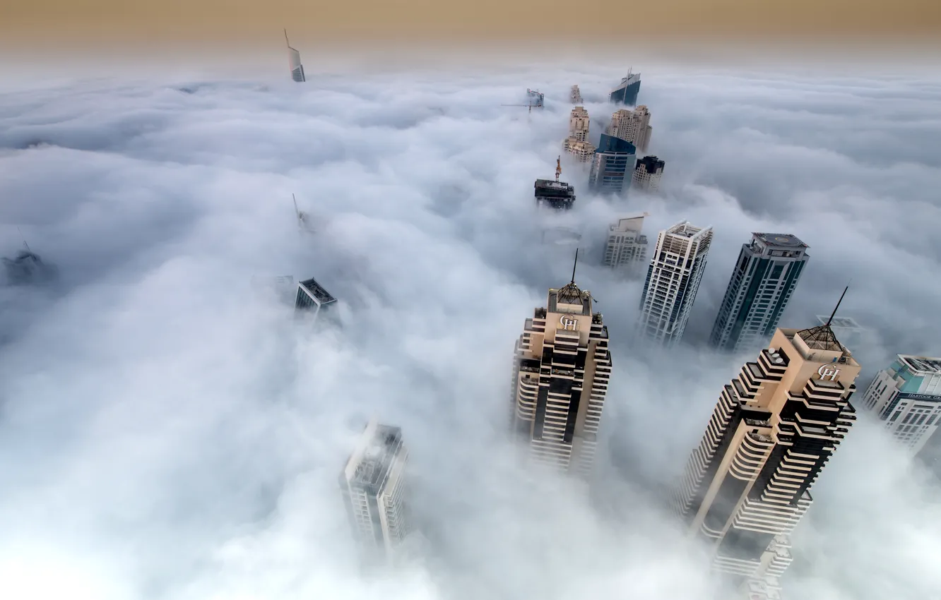 Photo wallpaper fog, skyscrapers, The city, dense