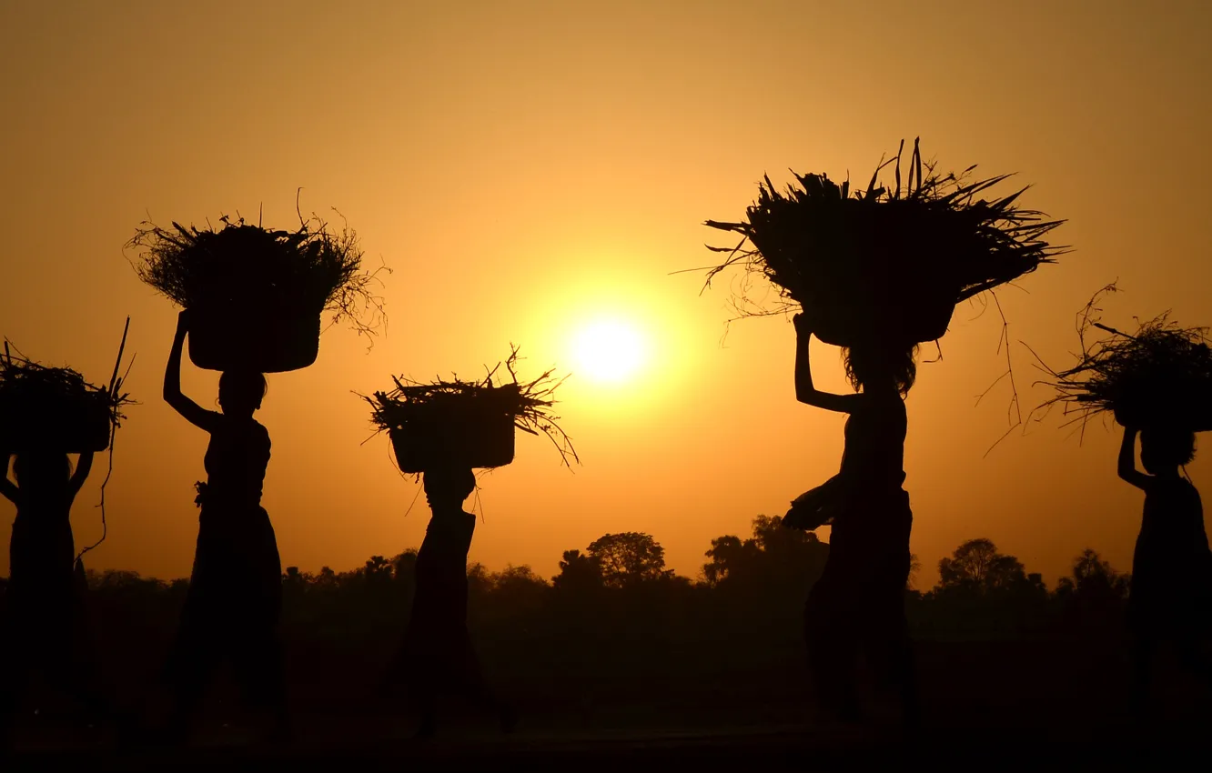 Photo wallpaper sunset, women, harvest