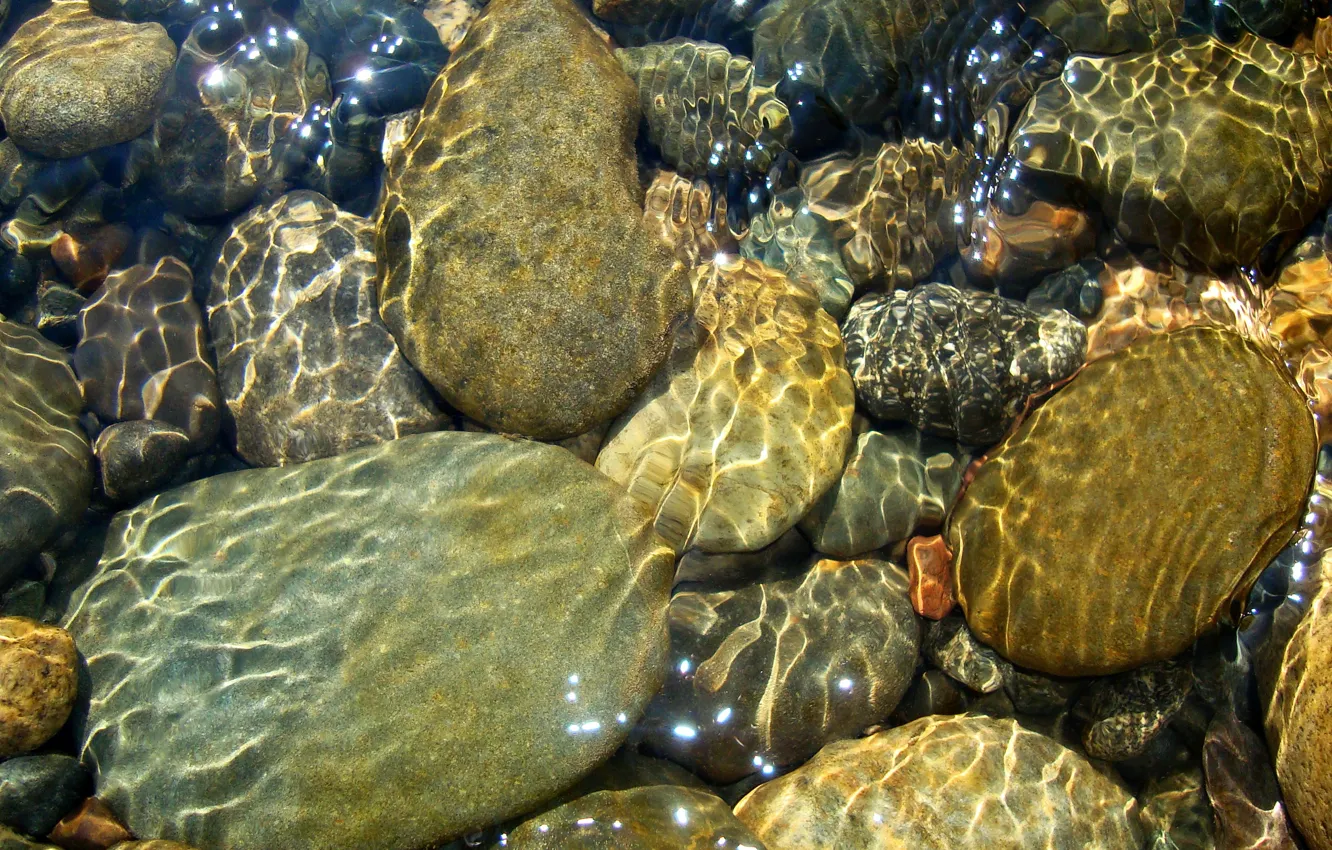 Photo wallpaper water, river, stones