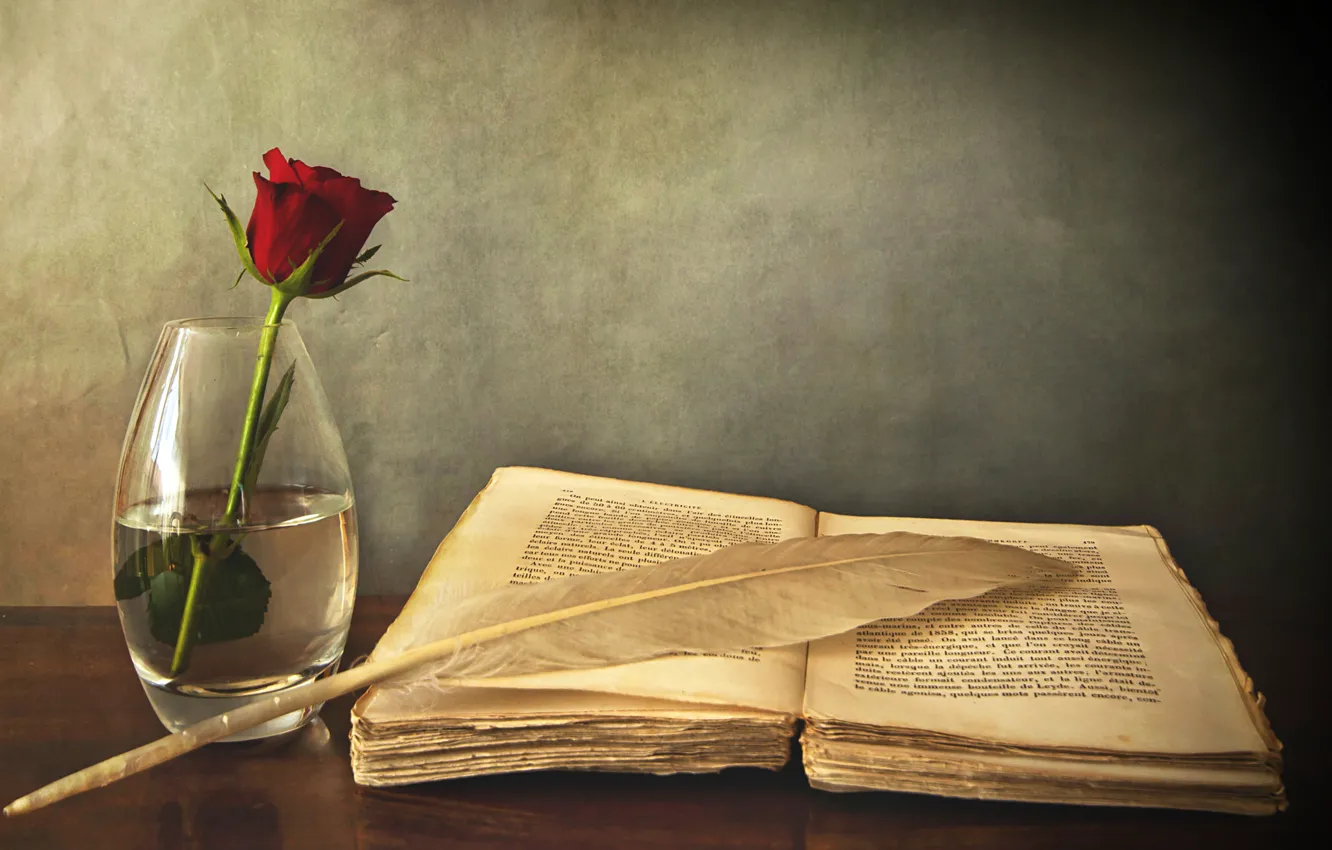Photo wallpaper table, pen, rose, book, vase, red, old