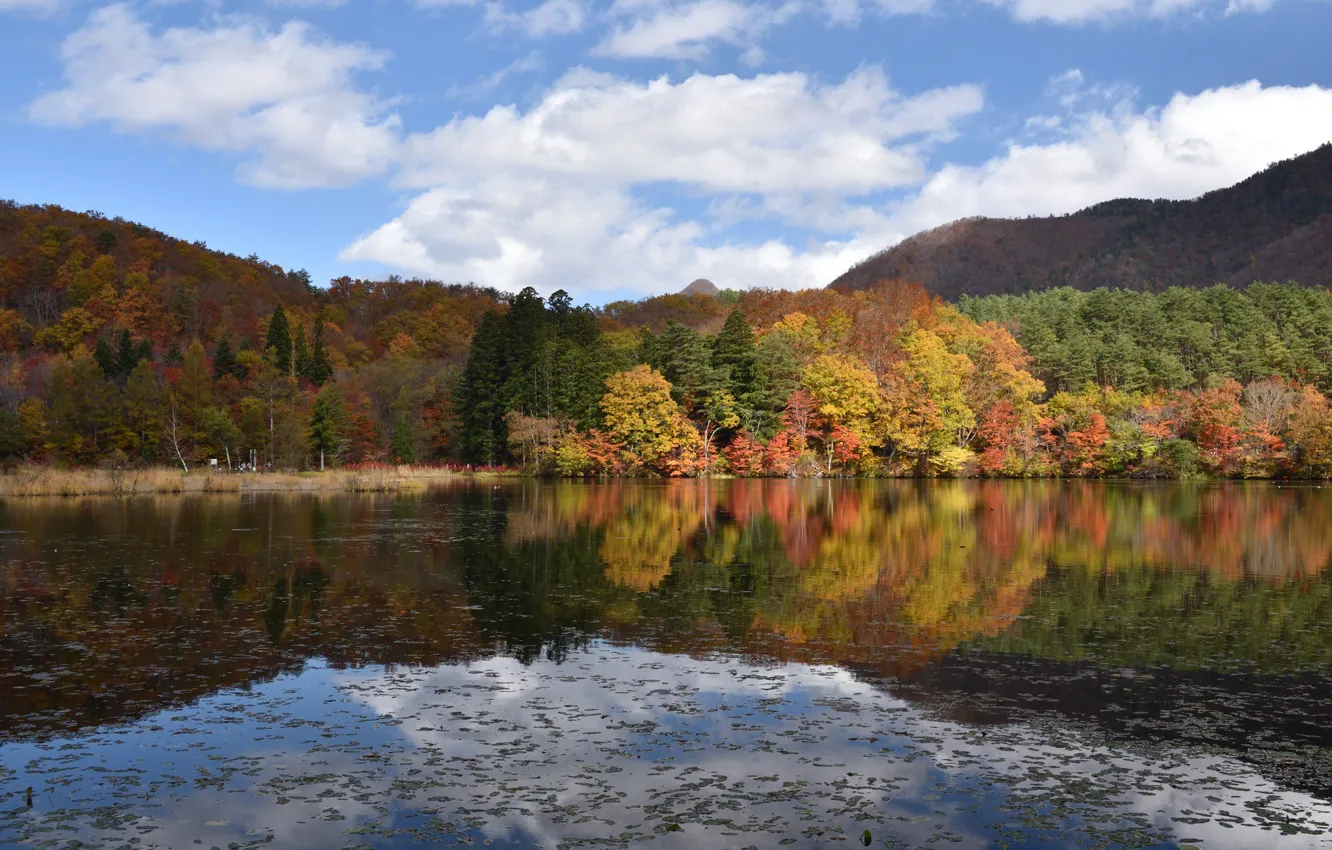 Photo wallpaper autumn, forest, lake