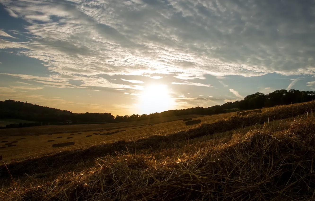 Photo wallpaper field, landscape, sunset, hay