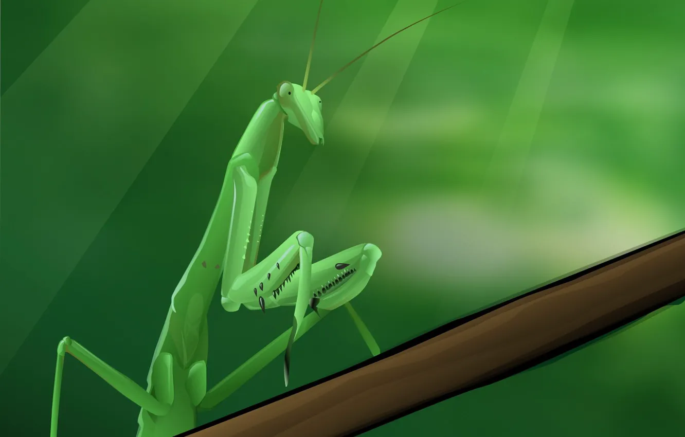 Photo wallpaper Greens, vector, mantis