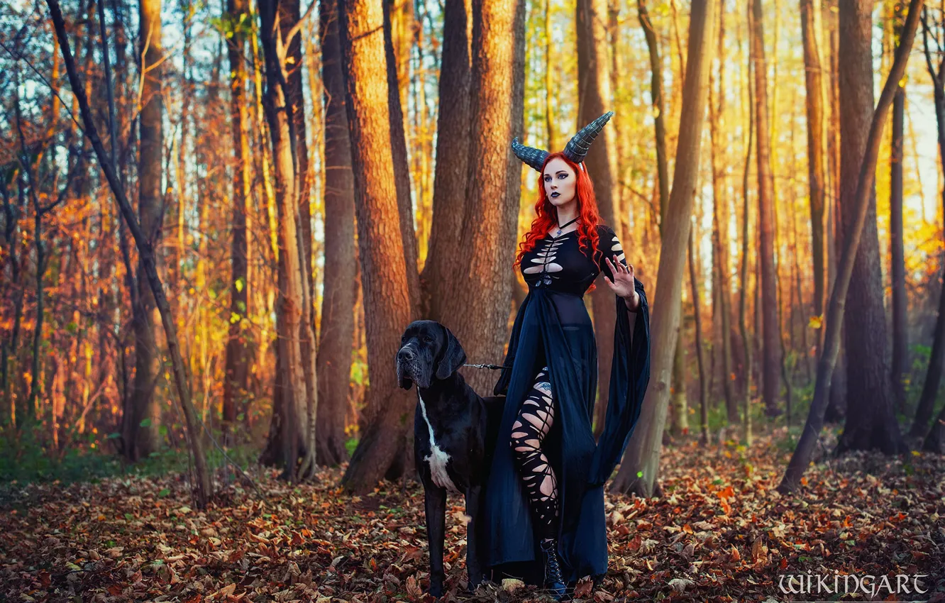 Photo wallpaper forest, girl, light, nature, pose, style, dog, makeup