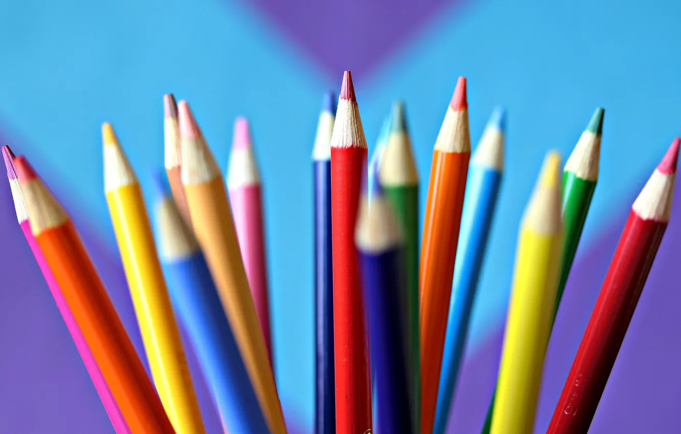 Photo wallpaper colored, pencils, the office