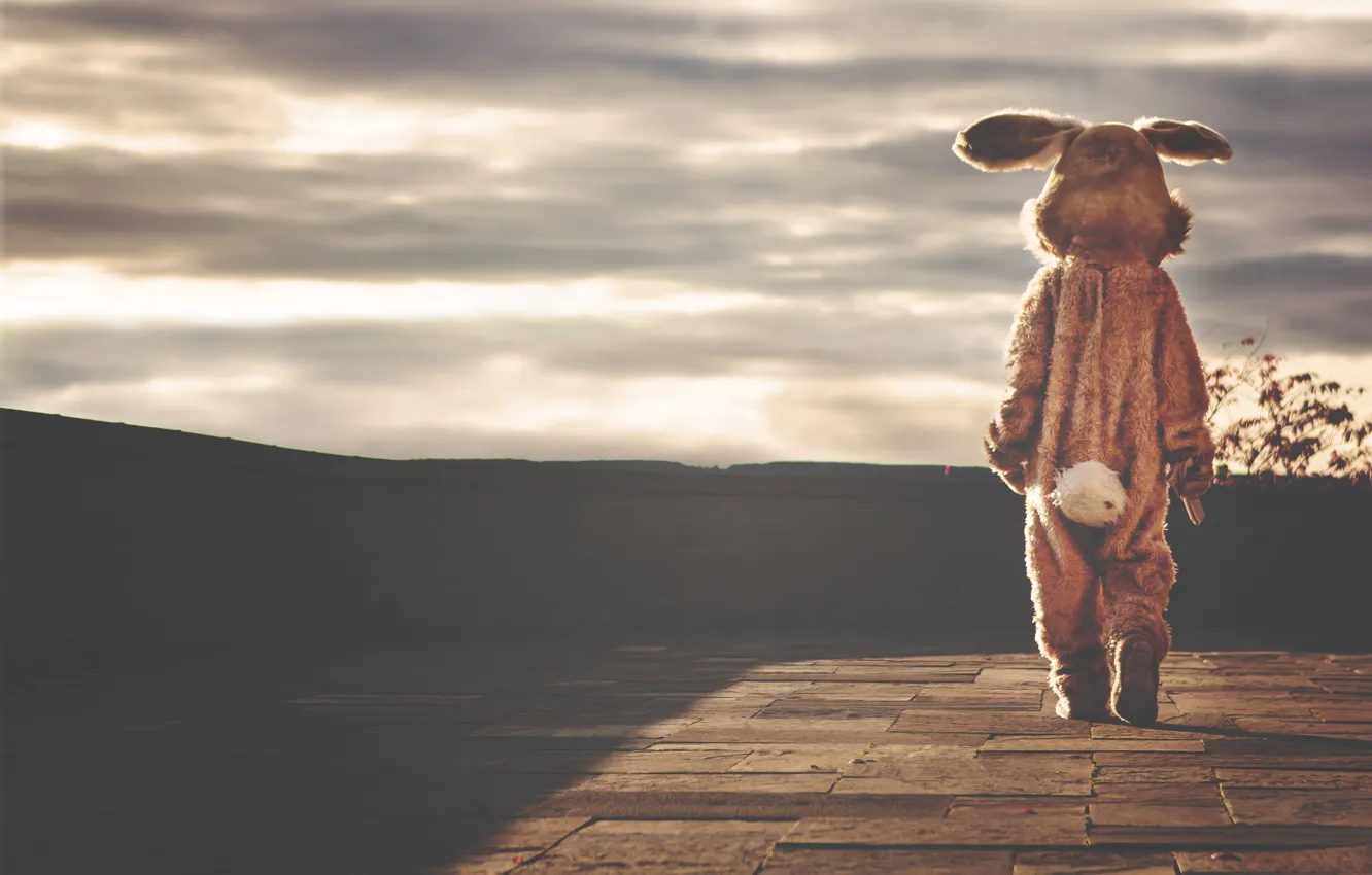 Photo wallpaper sadness, loneliness, photo, hare, rabbit, costume