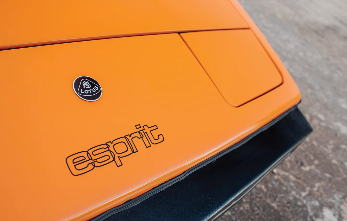 Photo wallpaper Lotus, logo, Esprit, badge, Lotus Esprit