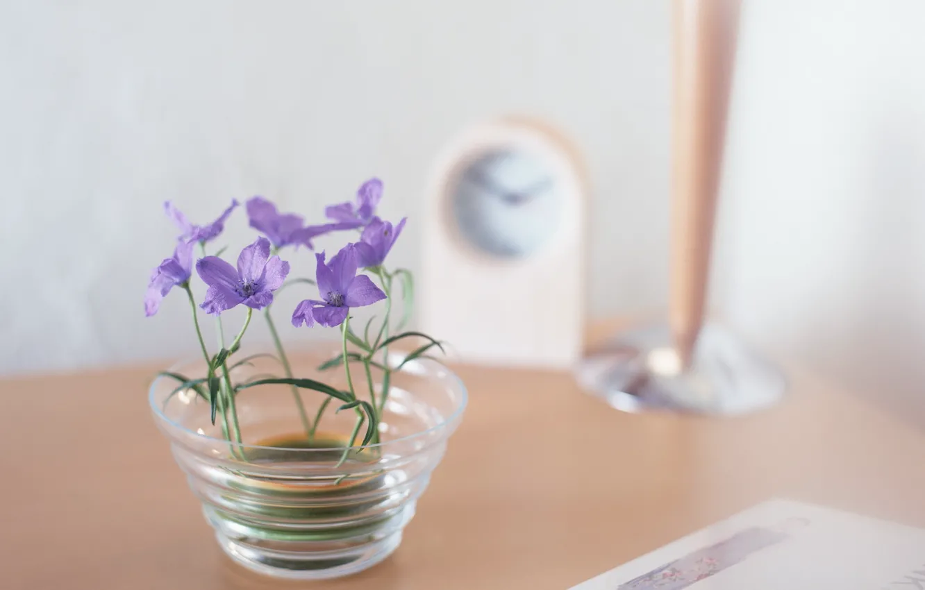 Photo wallpaper macro, flowers, watch, alarm clock, purple, flowers, colors, on the table