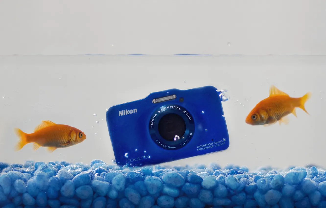 Photo wallpaper water, fish, camera, Nikon
