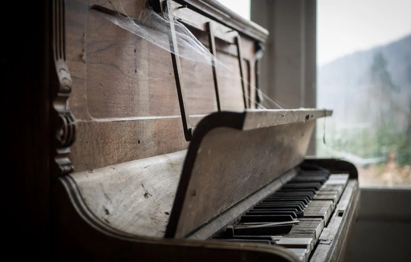 Photo wallpaper music, web, piano