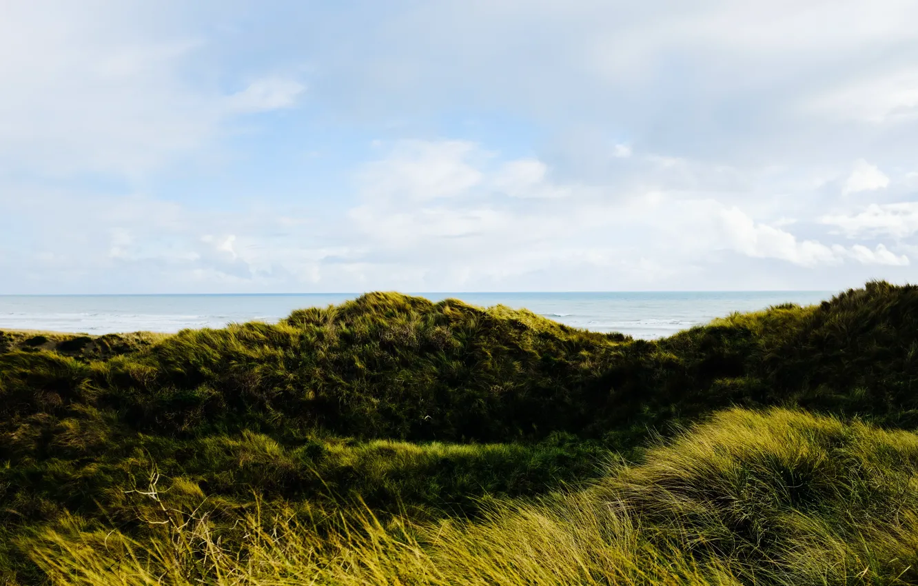Photo wallpaper sea, the sky, grass, nature, hills, horizon