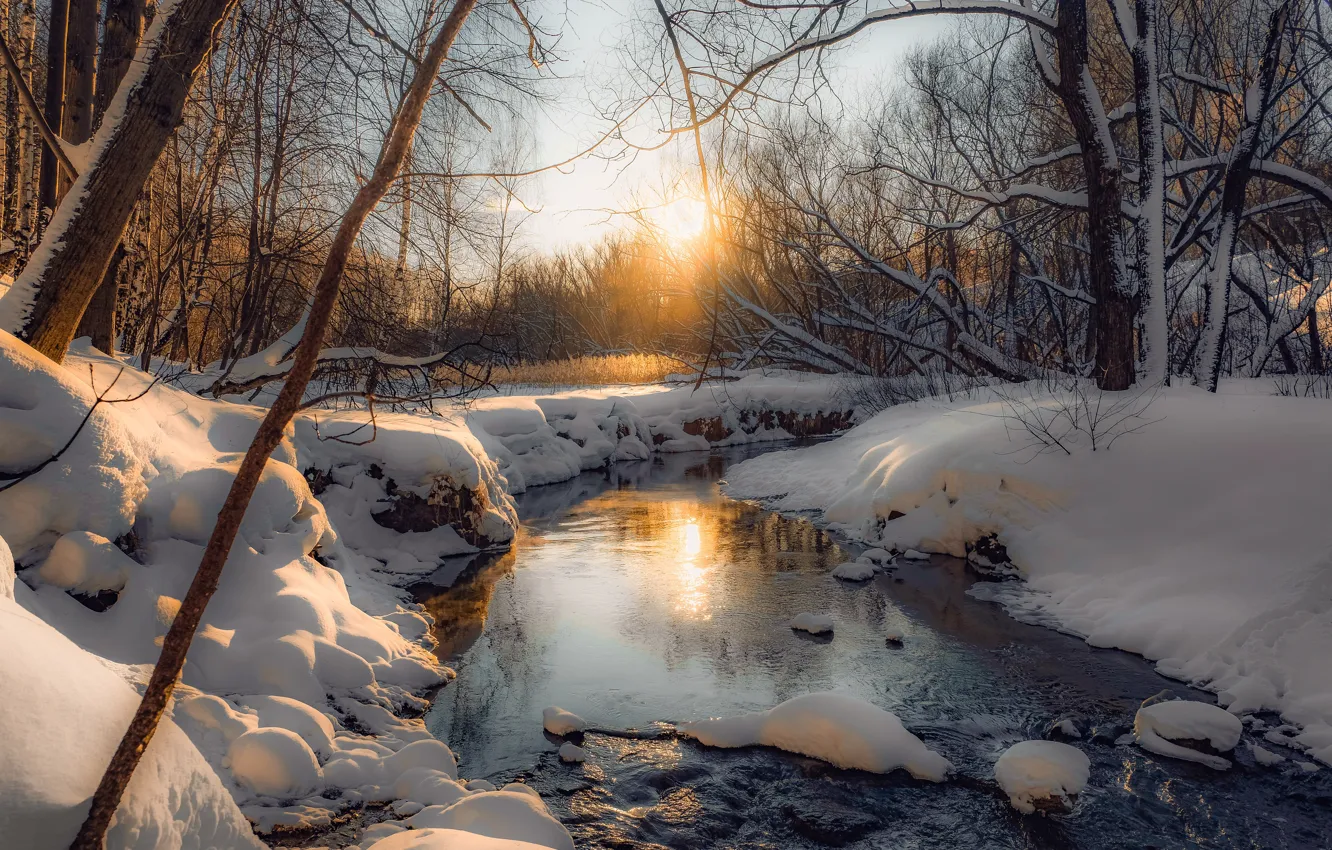 Photo wallpaper winter, forest, the sun, snow, landscape, sunset, nature, shore