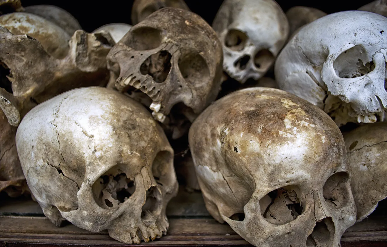 Photo wallpaper sake, human, bones