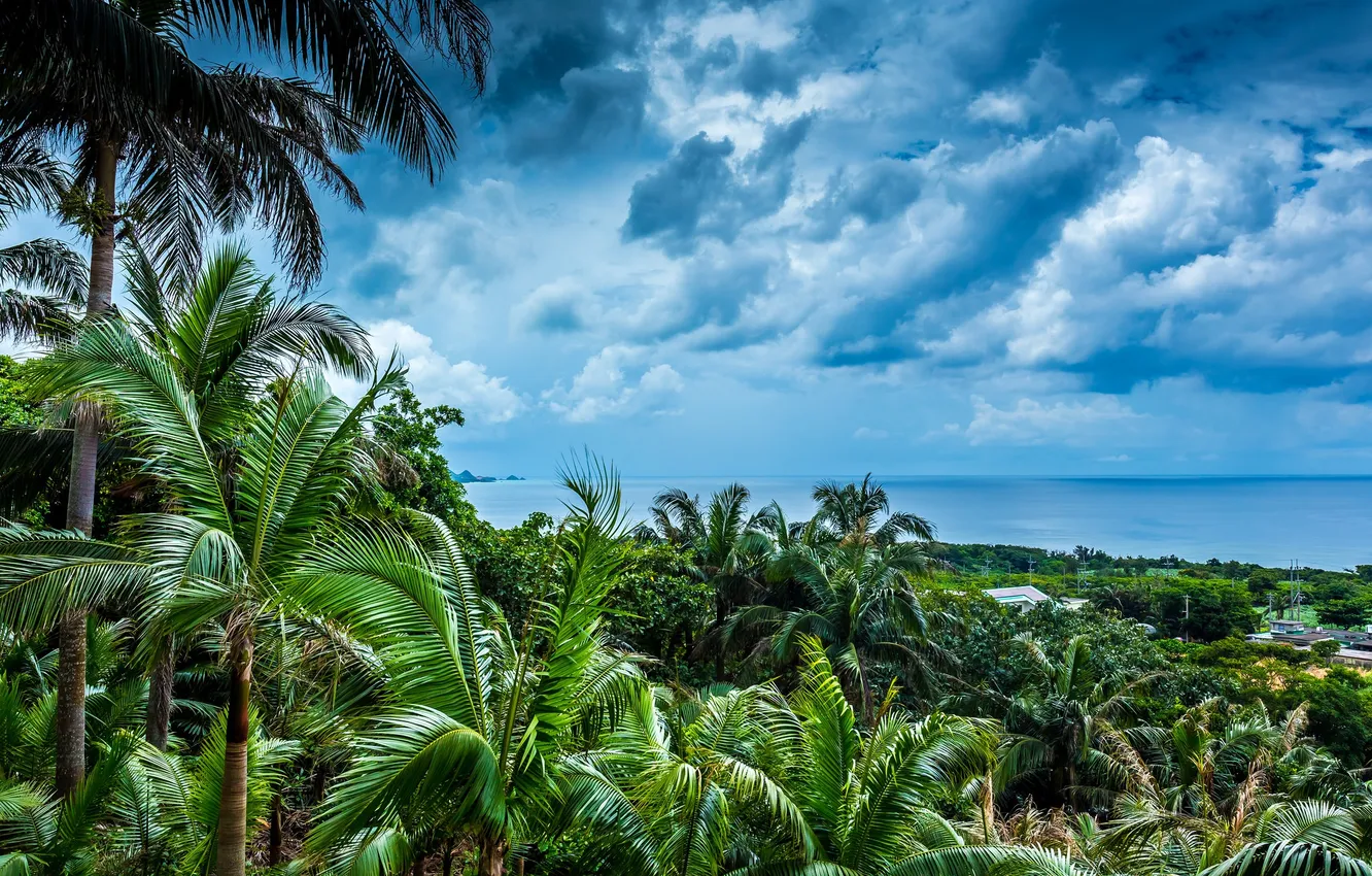 Photo wallpaper the sky, clouds, landscape, palm trees, Japan, Okinawa