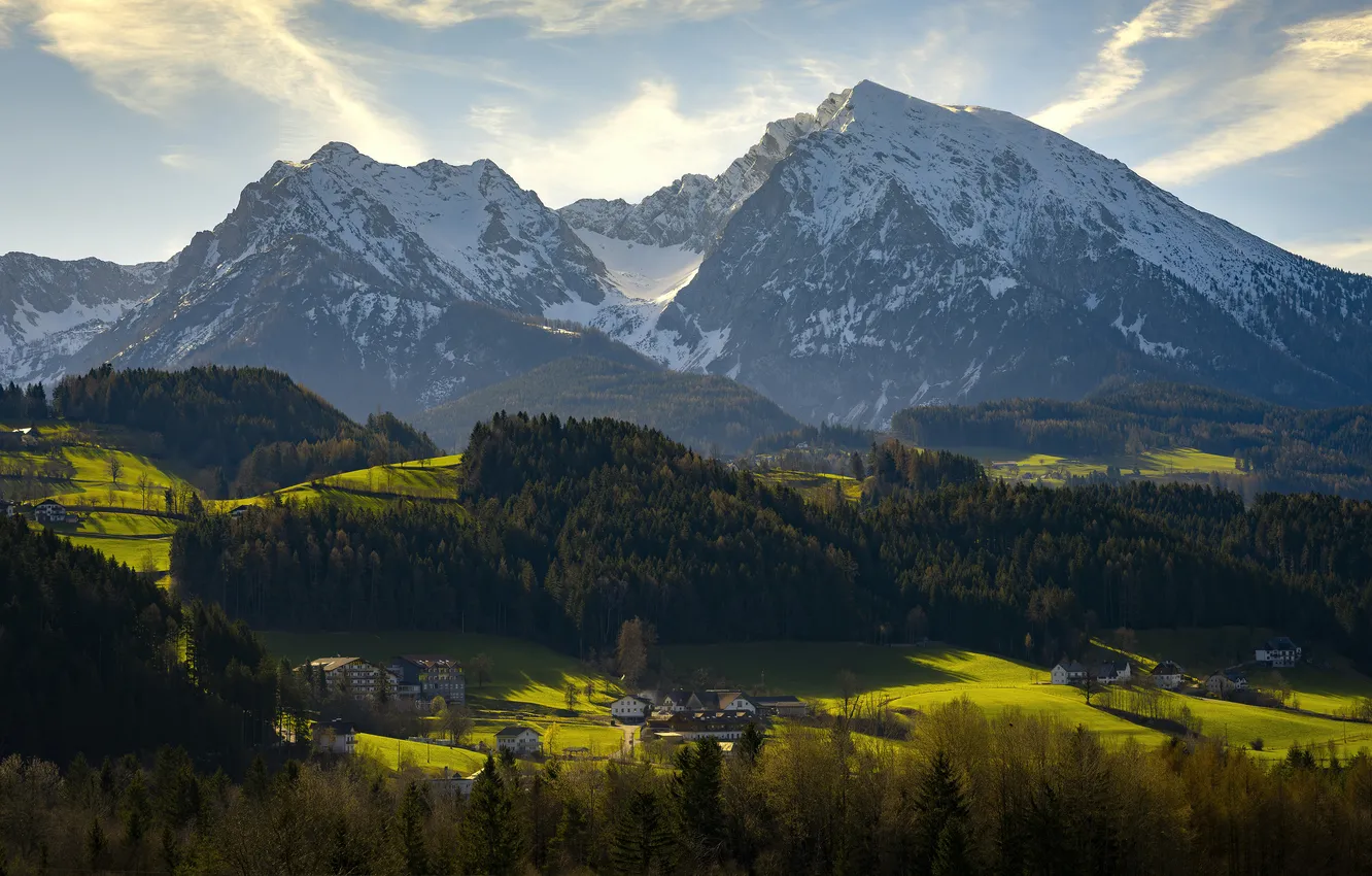 Photo wallpaper field, forest, clouds, light, snow, mountains, tops, view