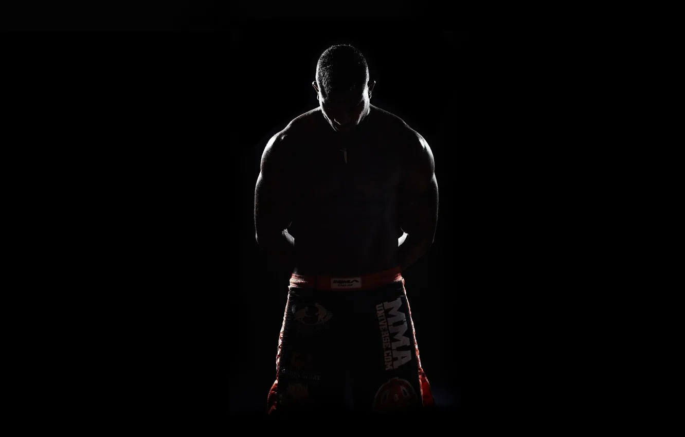 Photo wallpaper MMA, Alistair Overeem, K-1