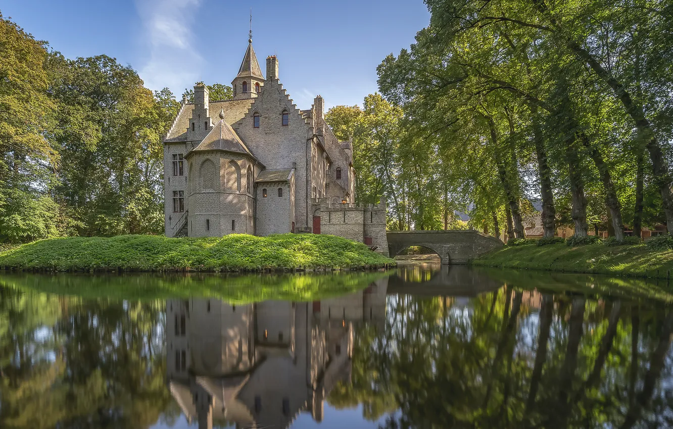 Photo wallpaper greens, summer, light, trees, lake, Park, reflection, blue