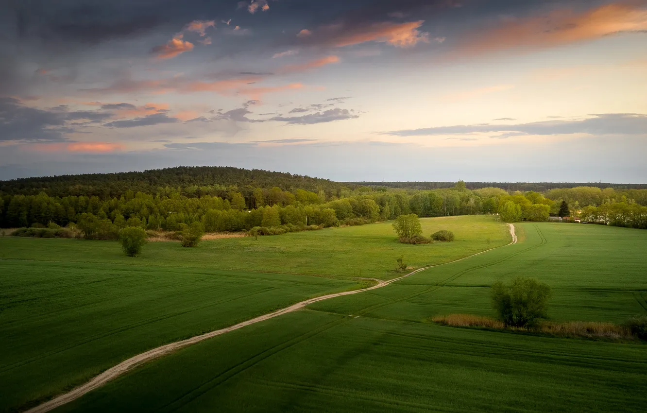 Photo wallpaper road, greens, field, forest, the sky, clouds, trees, hills