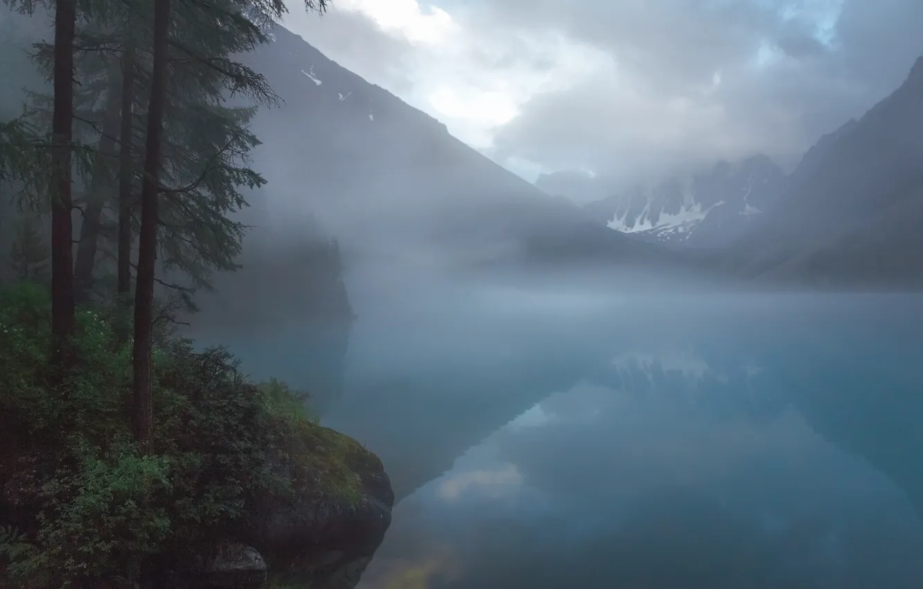 Photo wallpaper water, trees, fog, lake, twilight, the evening, twilight