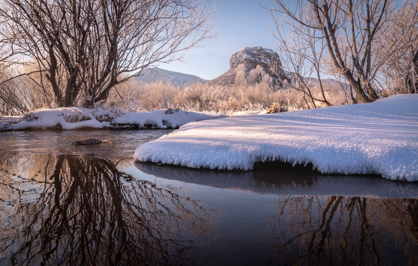 Photo wallpaper water, snow, trees, spring, March