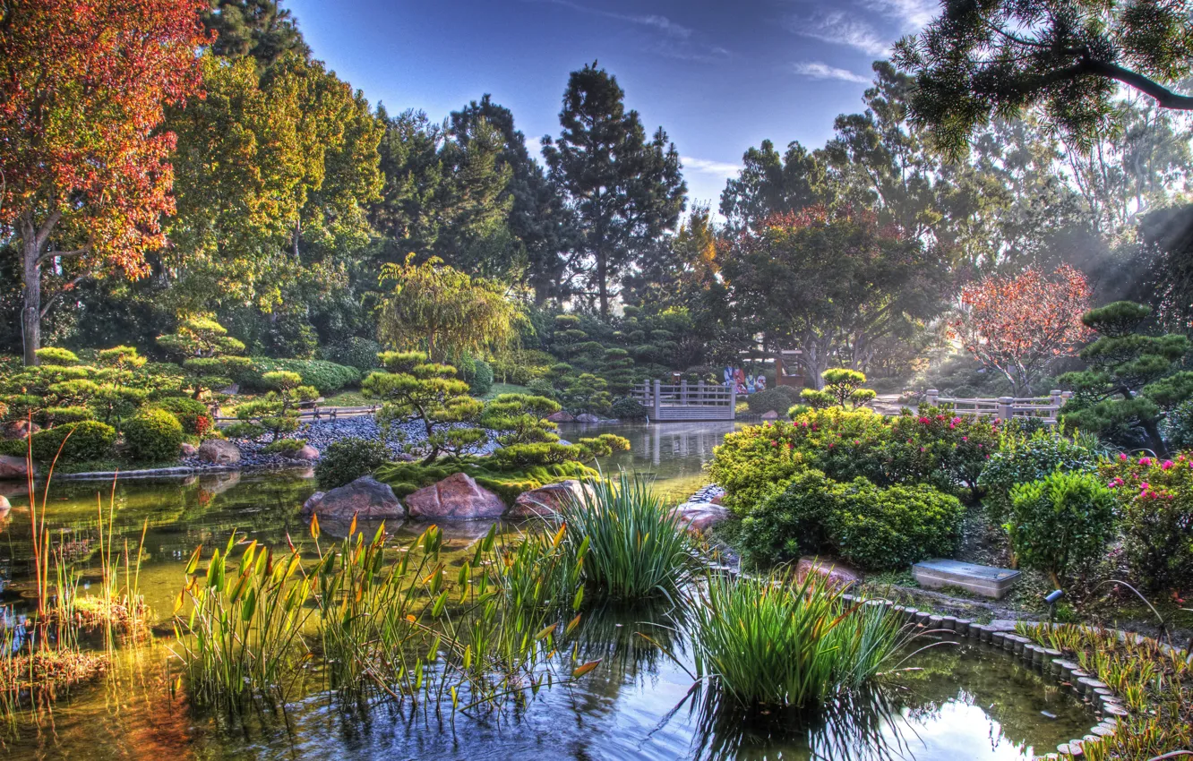 Photo wallpaper pond, Japan, Japanese garden