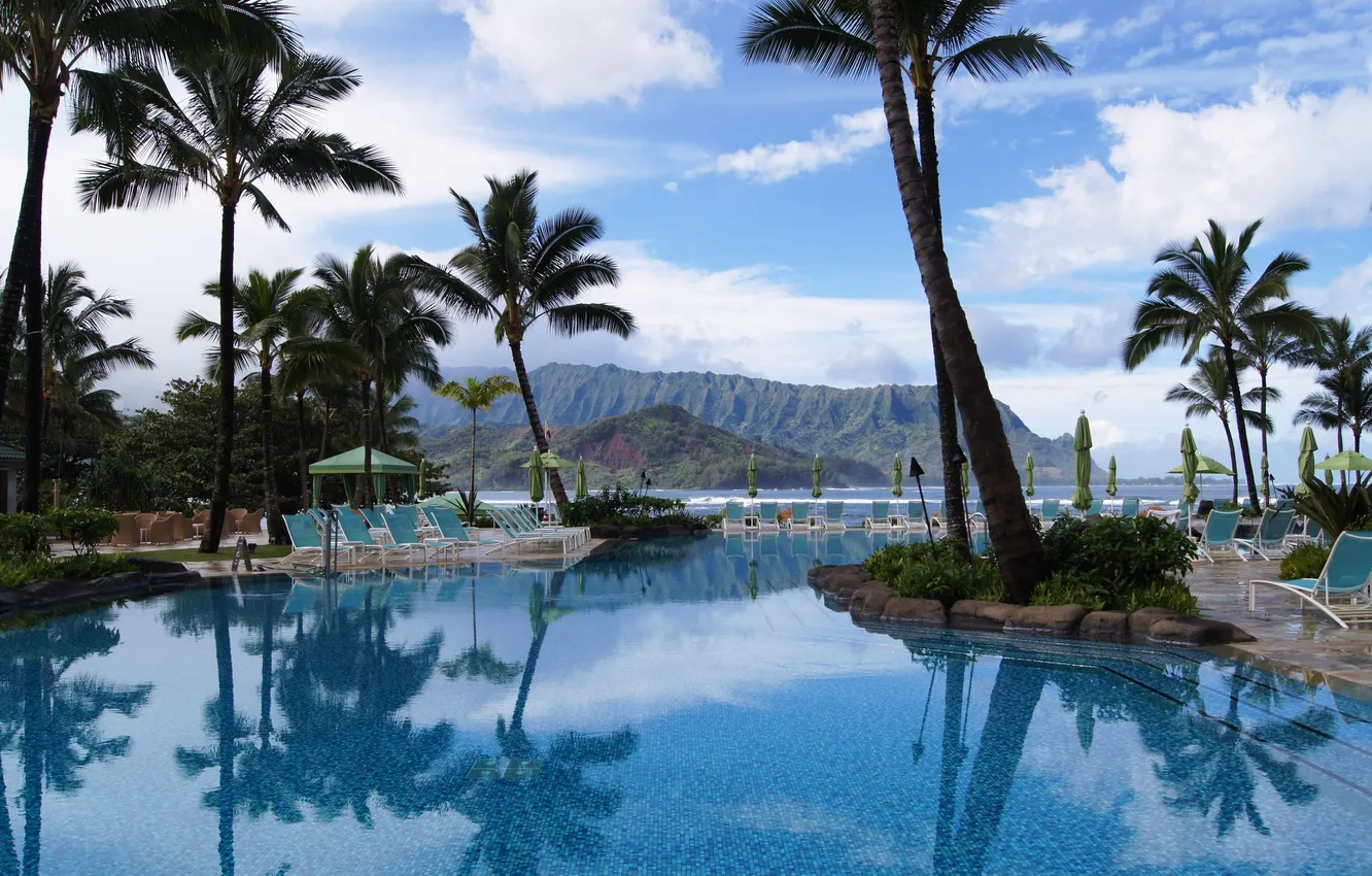 Photo wallpaper landscape, nature, palm trees, pool
