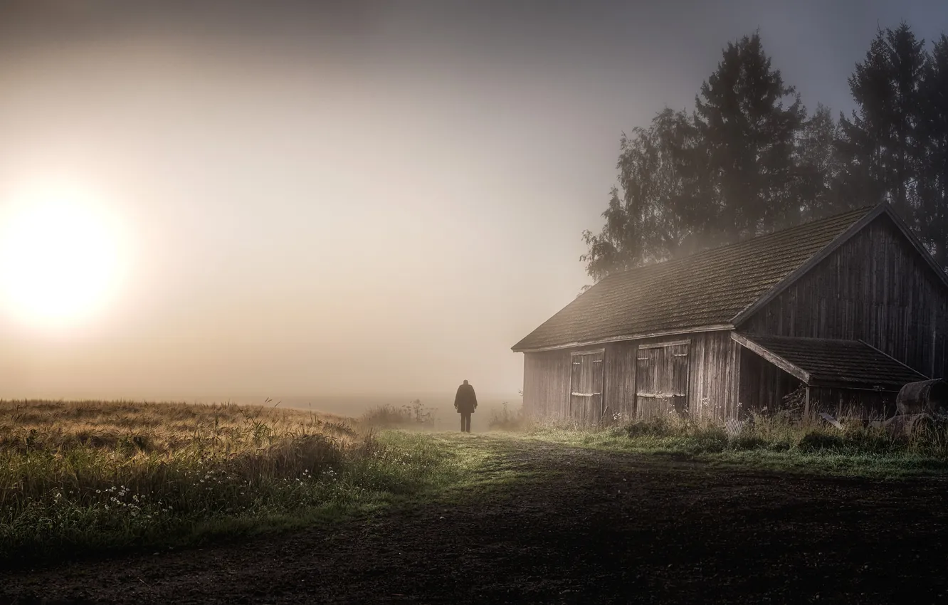 Photo wallpaper fog, house, morning