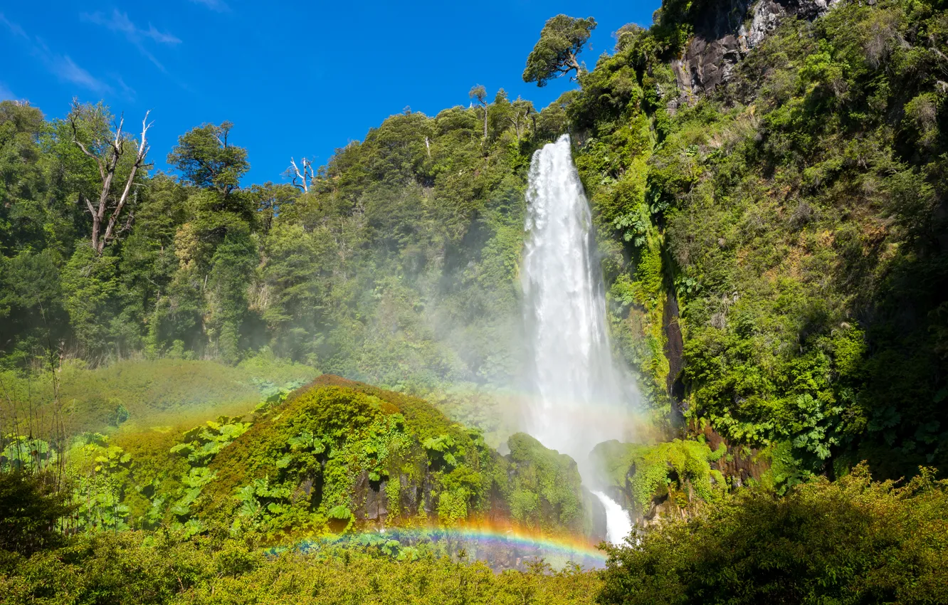 Photo wallpaper Conguillio National Park, rainbow, Chile, Sunny, waterfall, trees, the bushes, greens