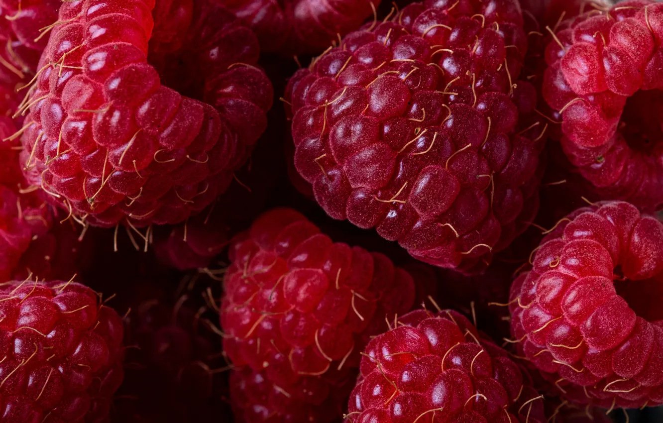 Photo wallpaper macro, berries, raspberry, a lot, ripe