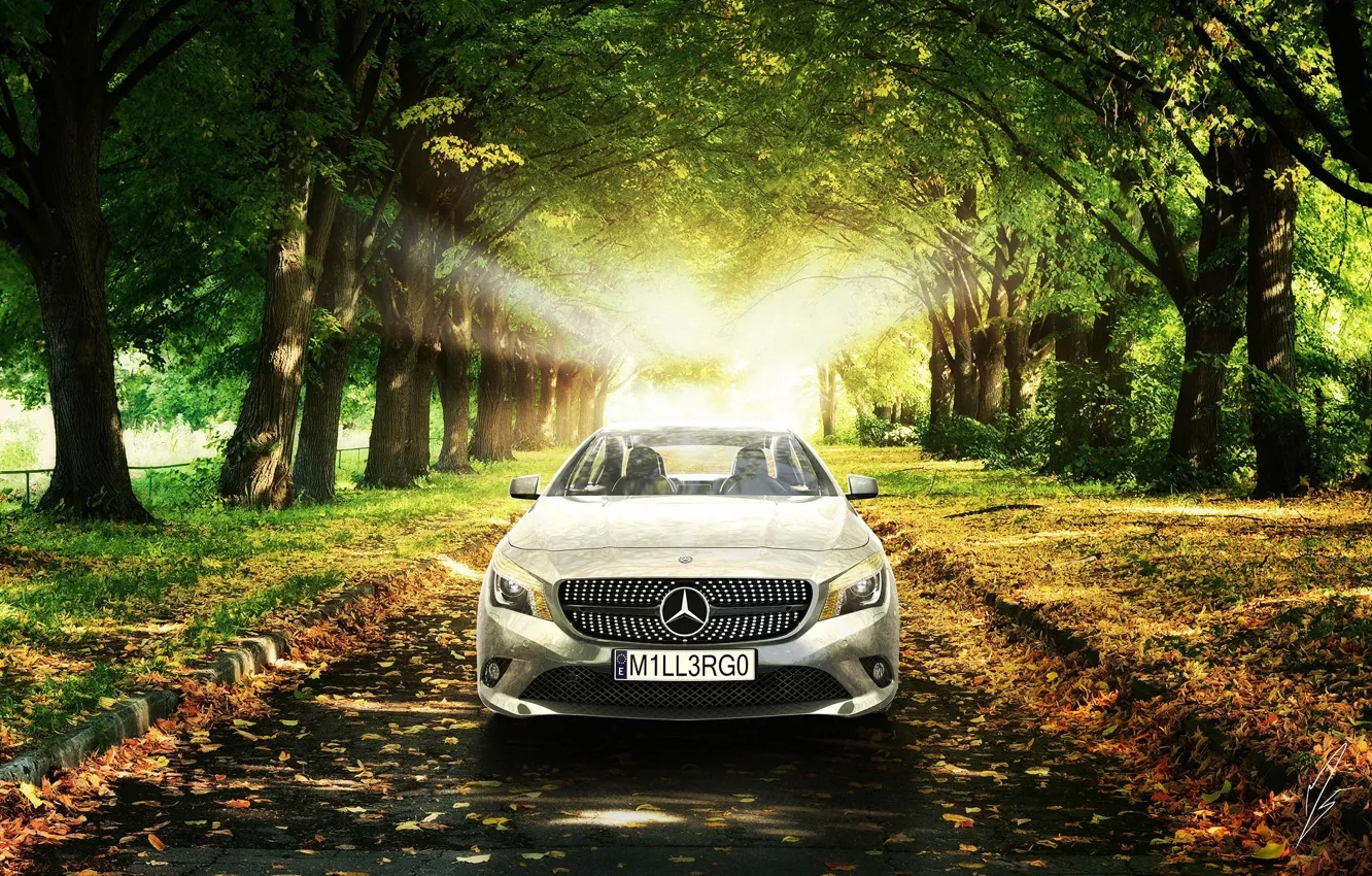 Photo wallpaper Mercedes-Benz, The sun, Grass, Trees, Leaves, Car, Grass, Car