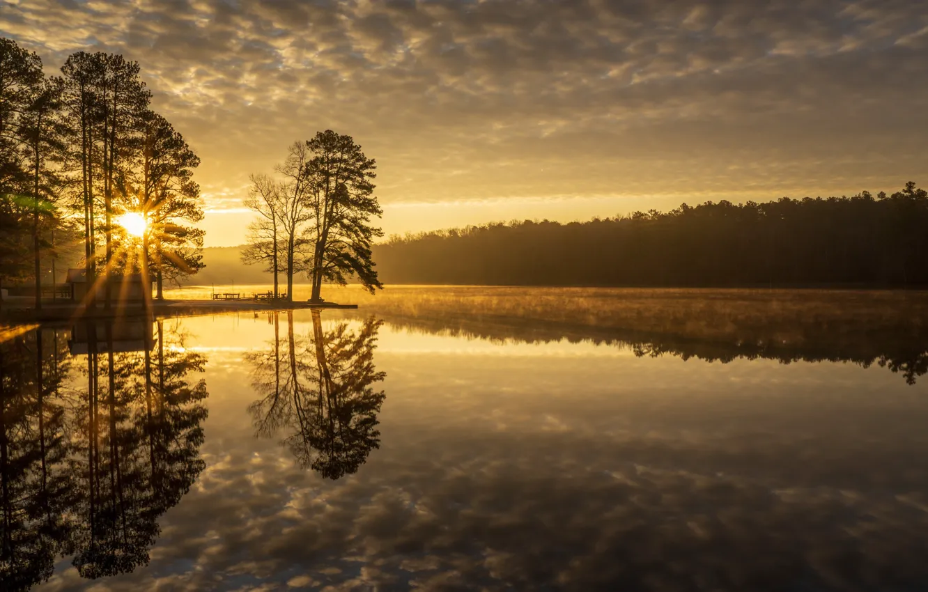 Photo wallpaper trees, lake, reflection, dawn, morning, Tennessee, Tn, Natchez Trace State Park