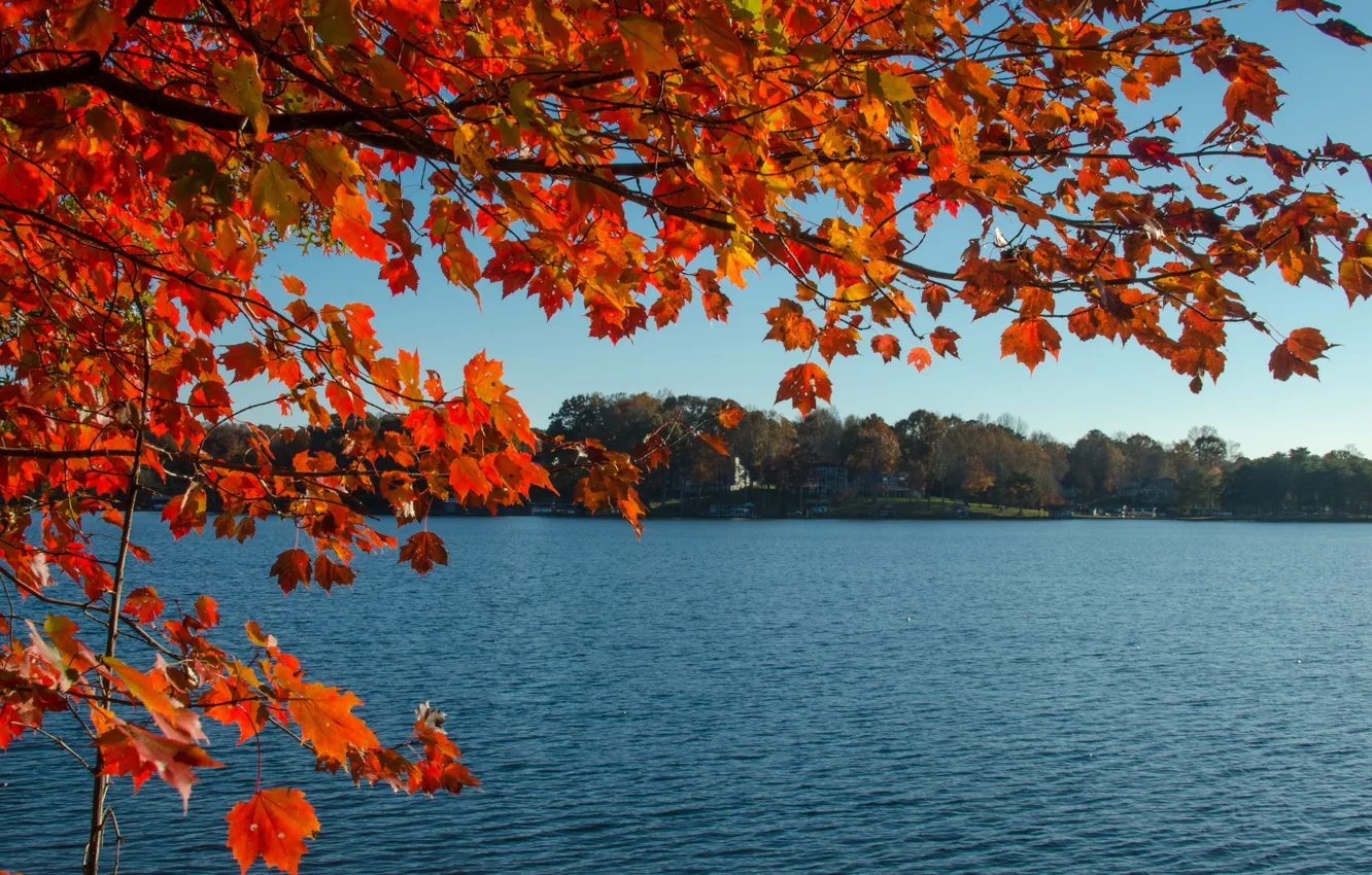 Photo wallpaper autumn, the sky, leaves, branches, lake, home, the crimson