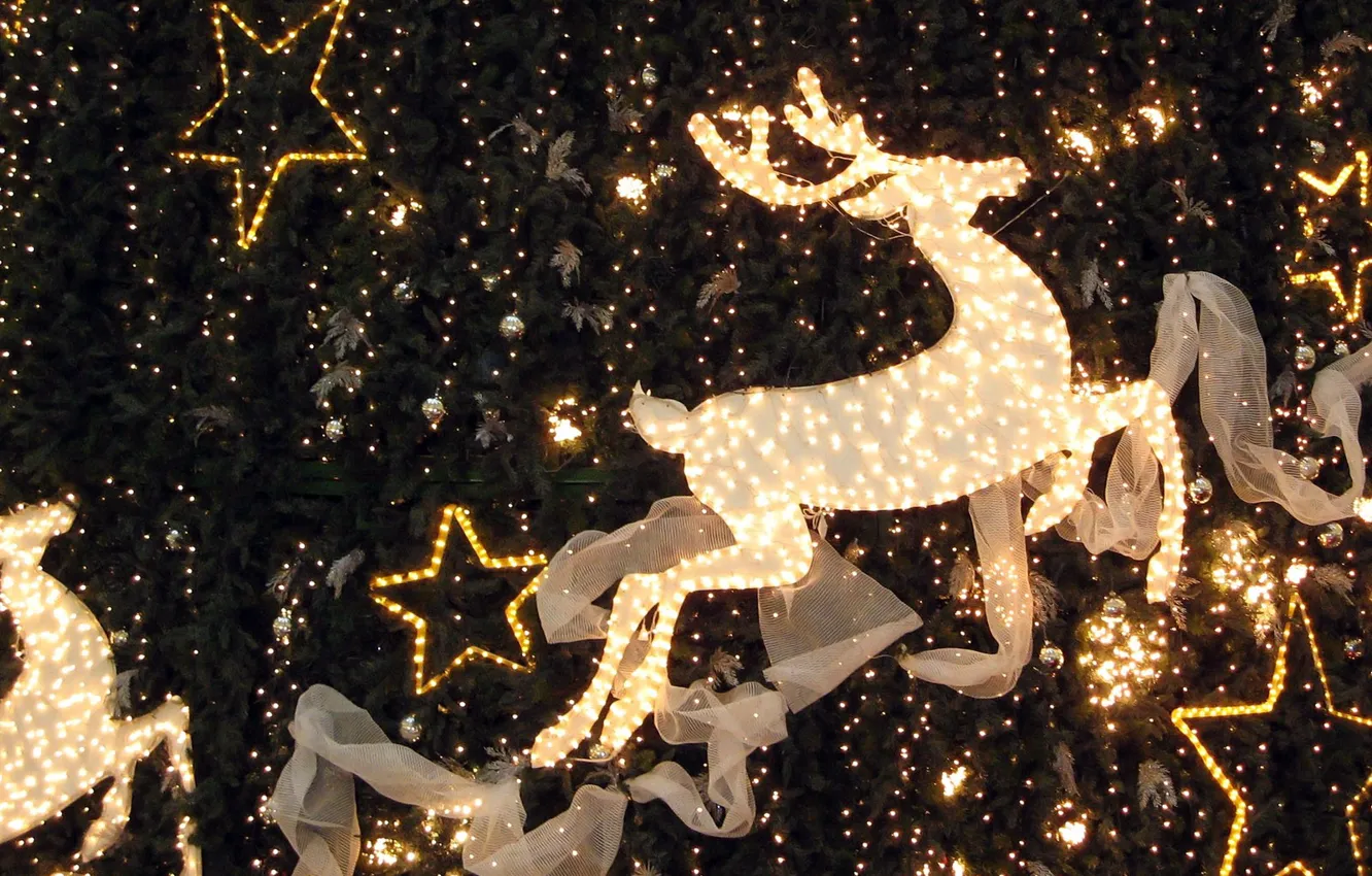 Photo wallpaper decoration, lights, Deer