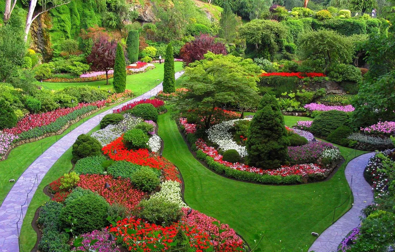 Photo wallpaper trees, flowers, nature, Park, plant, garden