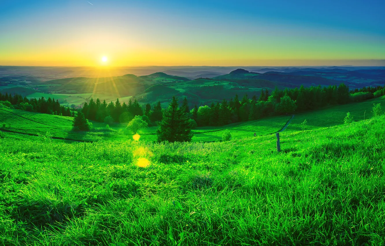Photo wallpaper grass, space, sunrise