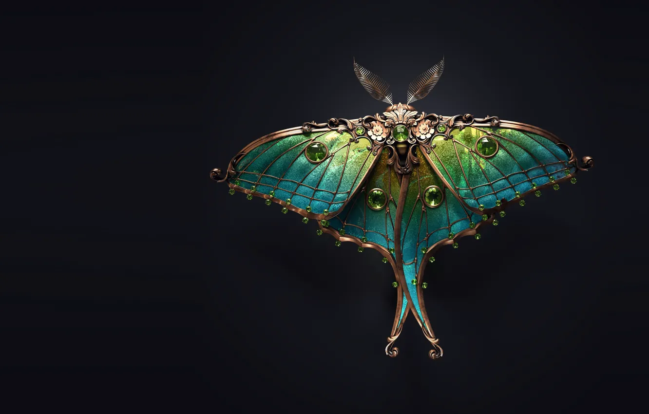 Photo wallpaper art, moth, brooch, Sasha Vinogradova, Jewel moth