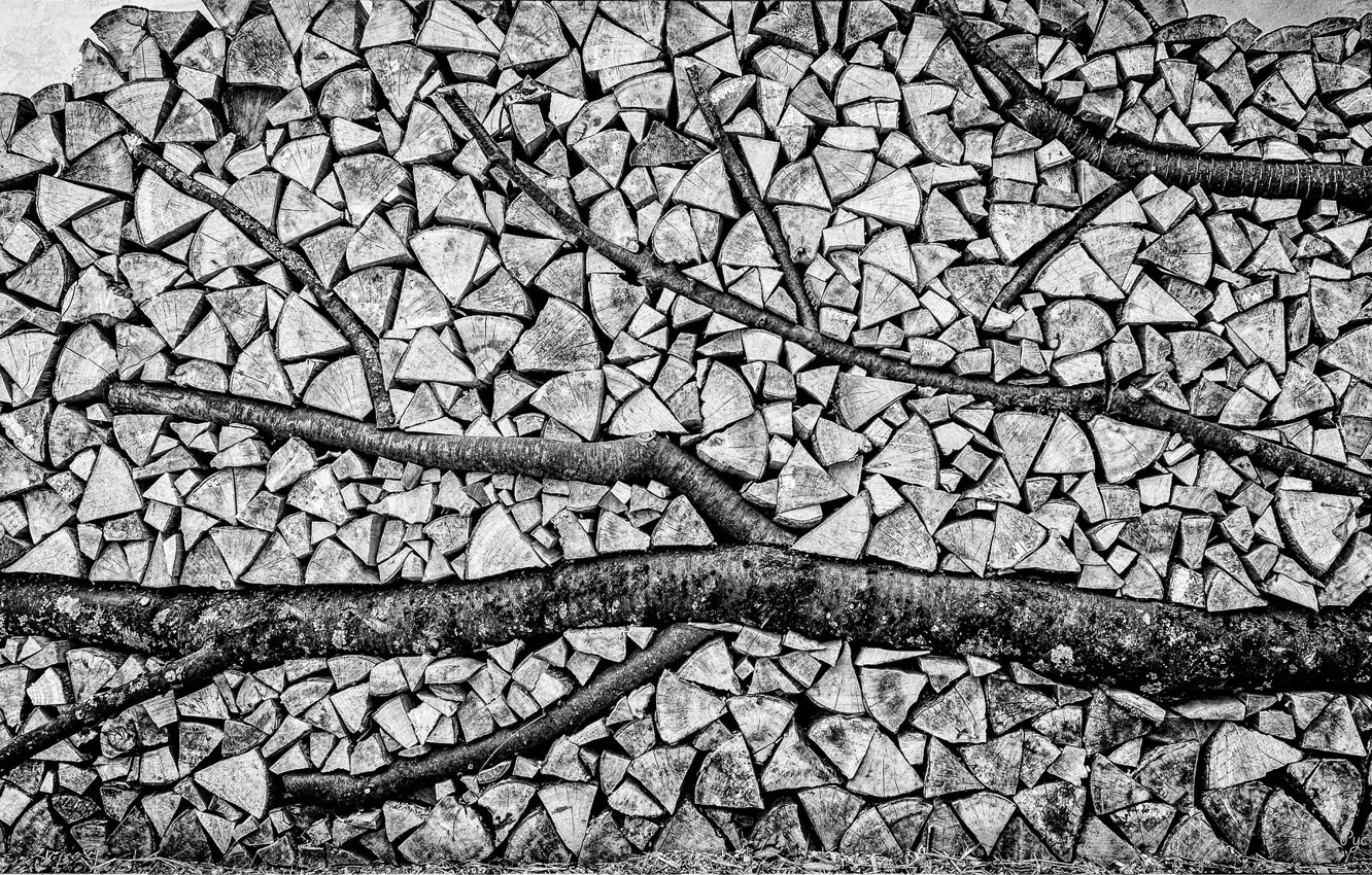 Photo wallpaper texture, wood, black and white