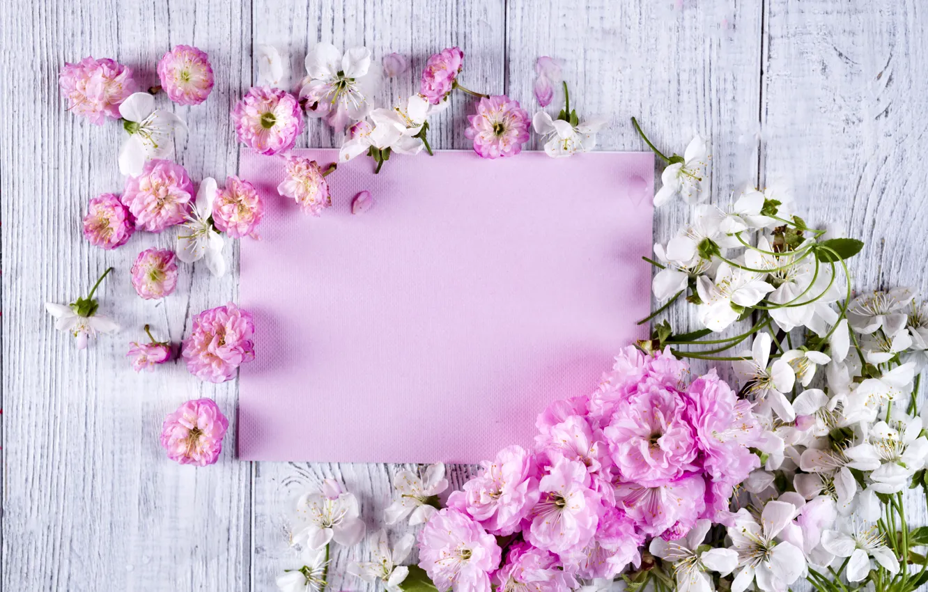Photo wallpaper flowers, pink, wood, pink, flowers, beautiful, tender, frame