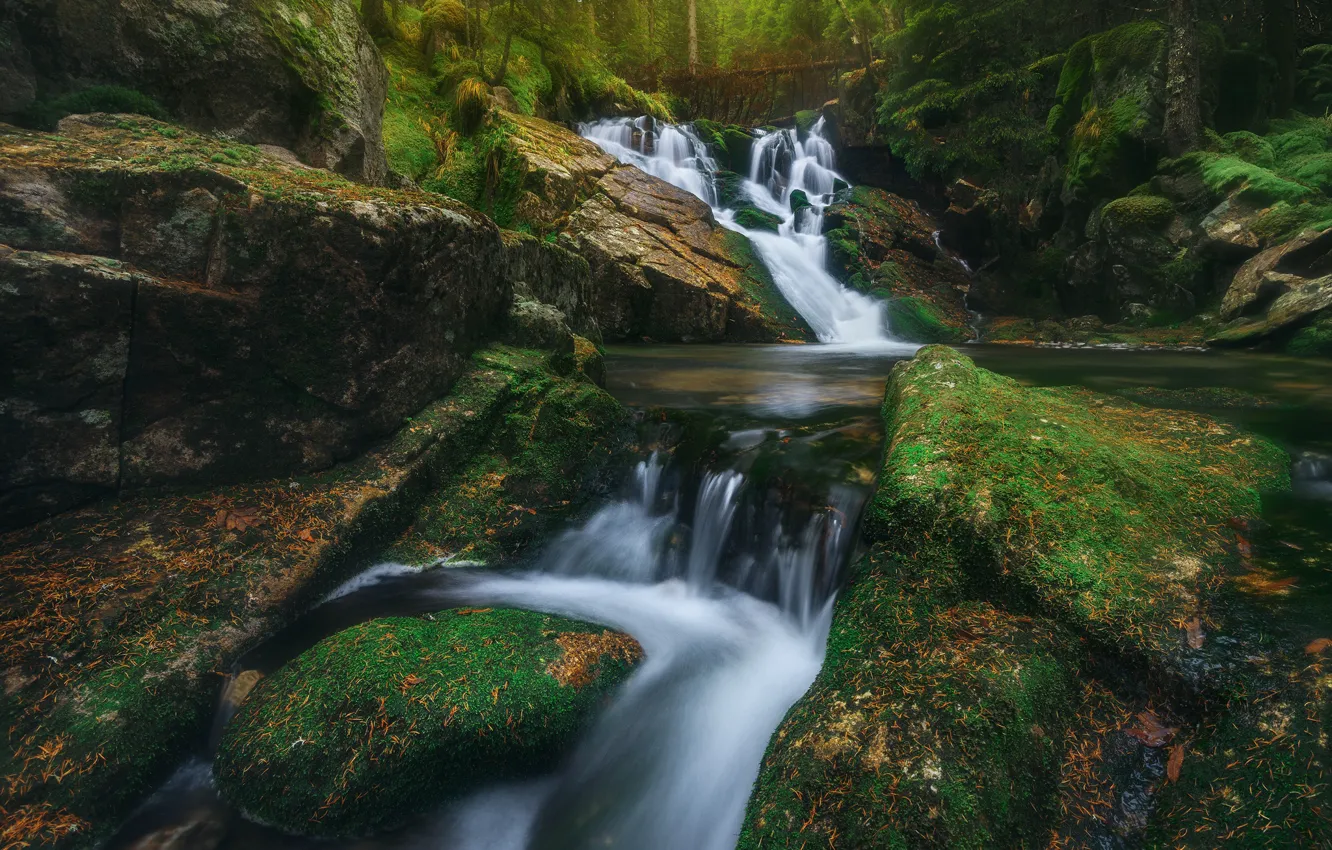 Photo wallpaper river, stones, waterfall, moss, cascade