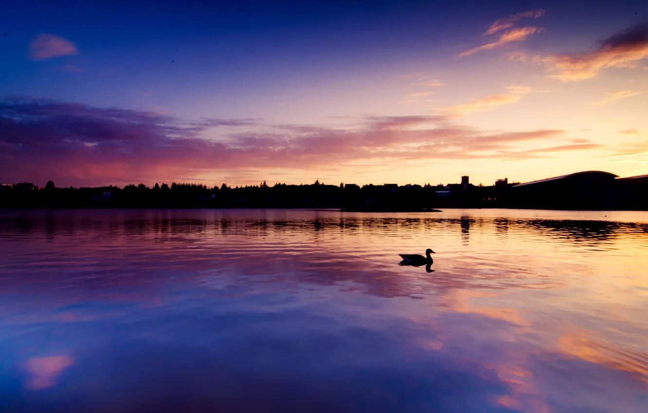 Photo wallpaper sunset, the city, lake, reflection, duck, the evening
