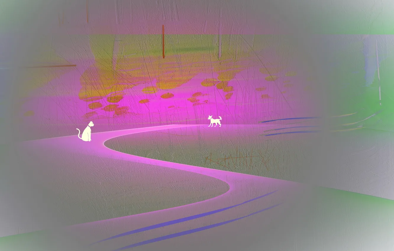 Photo wallpaper cat, color, dog