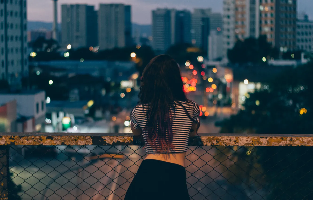 Photo wallpaper girl, hair, back, twilight