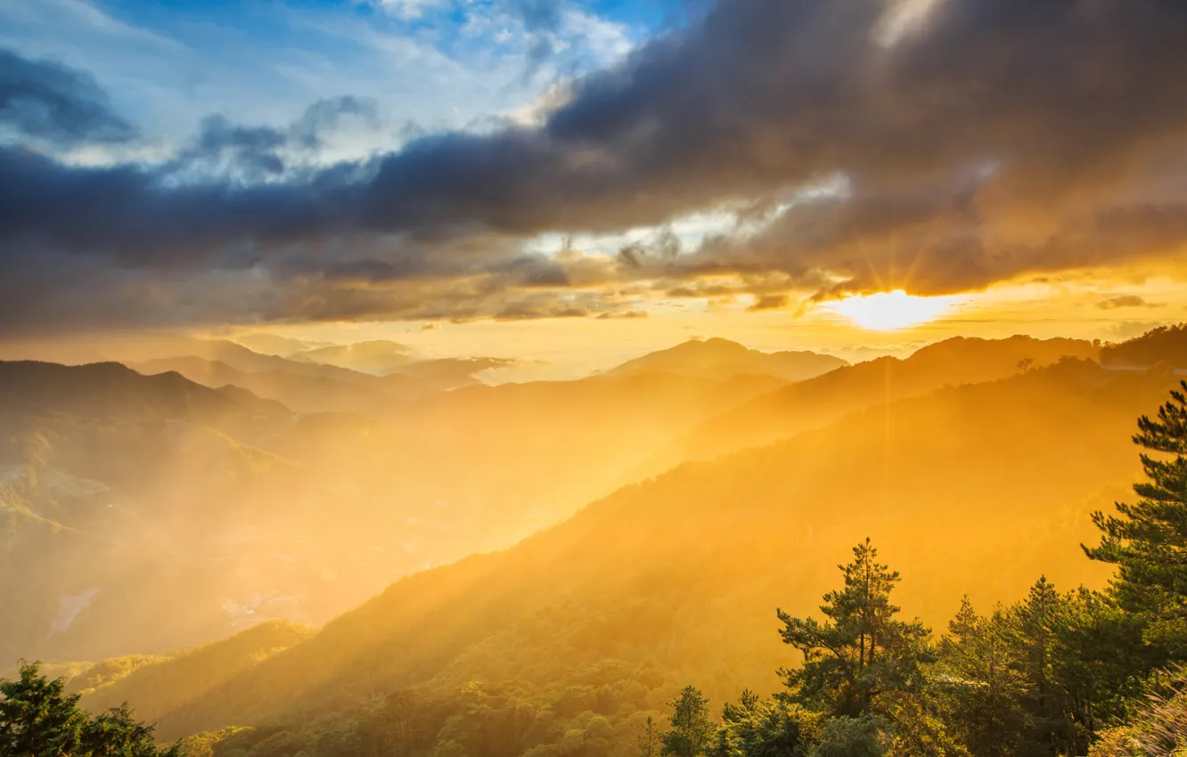 Photo wallpaper forest, mountains, dawn, haze, Taroko National Park