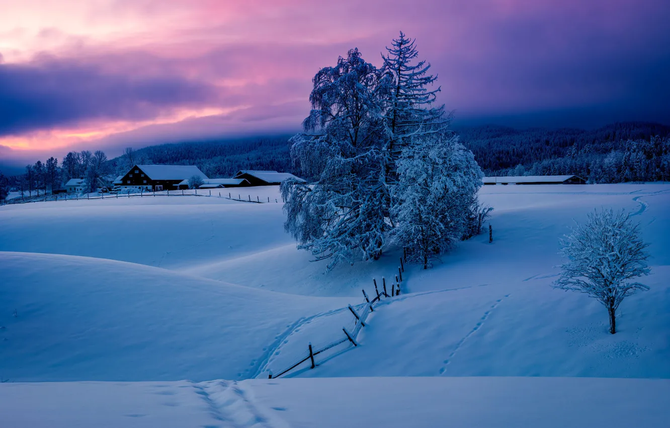 Photo wallpaper winter, trees, landscape, nature, home, morning, village, Norway