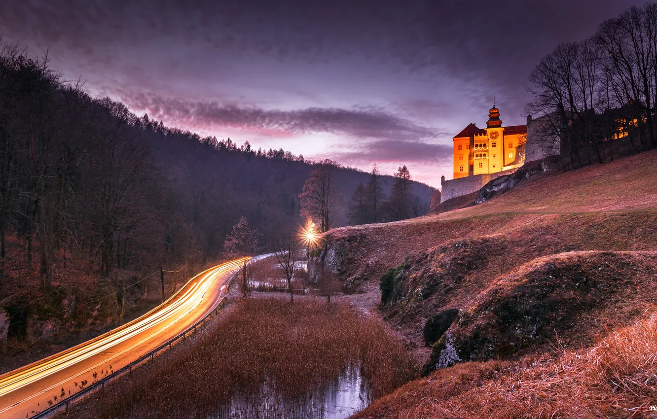 Photo wallpaper road, forest, landscape, nature, castle, the evening, lighting, Poland