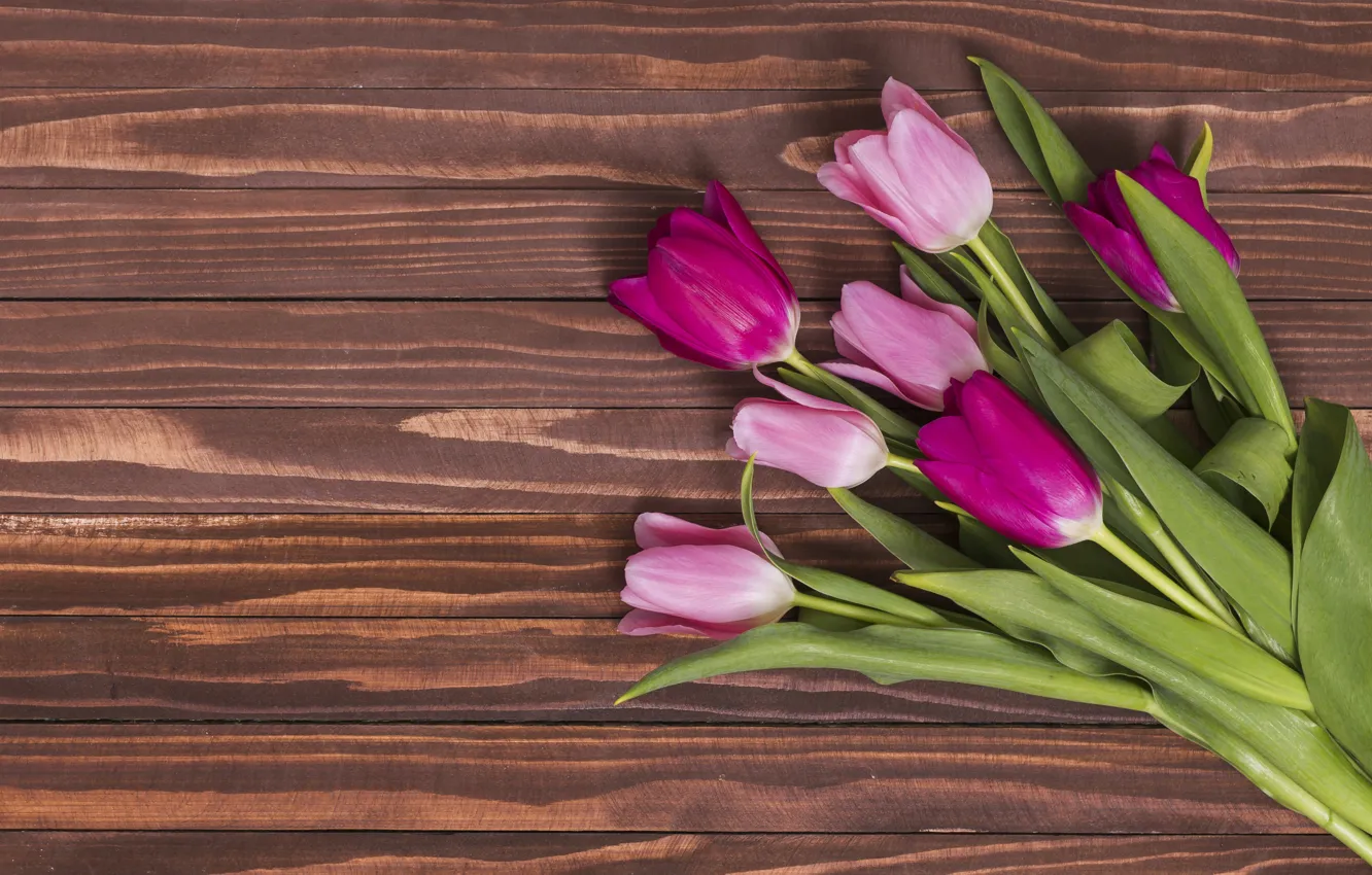 Photo wallpaper flowers, colorful, tulips, pink, wood, pink, flowers, tulips