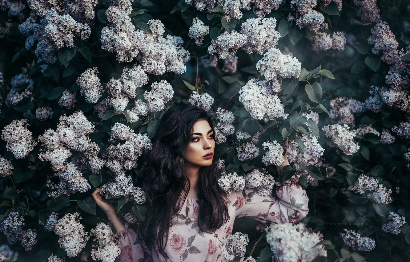 Photo wallpaper girl, pose, mood, lilac, Nikolay Tikhomirov, the lilac Bush
