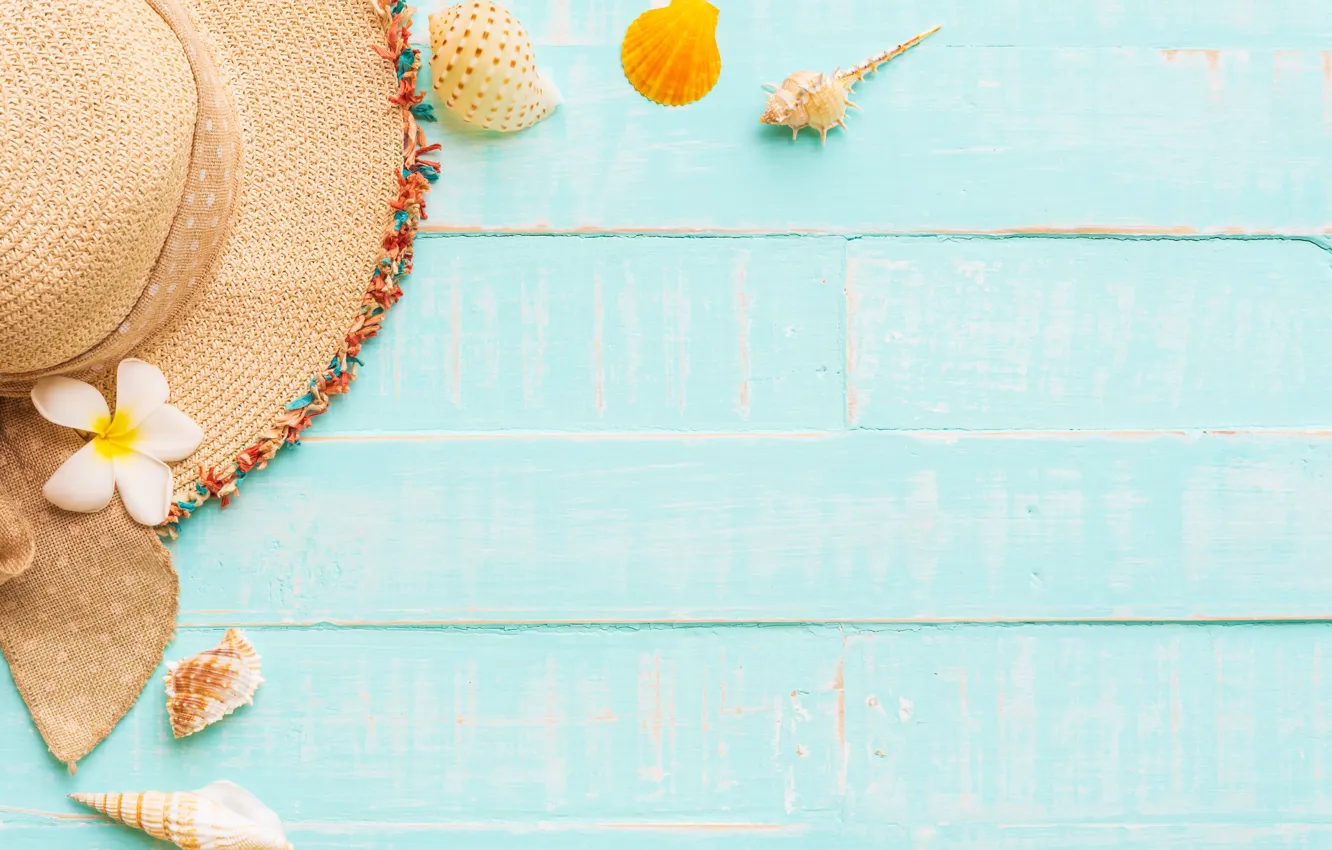 Photo wallpaper beach, summer, Board, hat, shell, summer, beach, wood